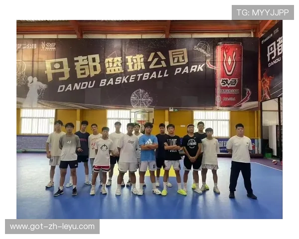 篮球青训营发展模式多样化探索，篮球 青训